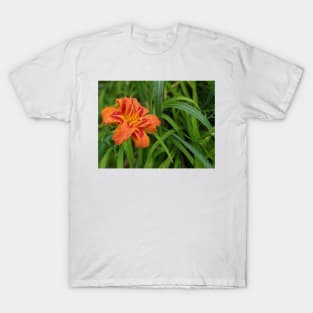 Wet Orange Lily Angled Profile Photographic Image T-Shirt